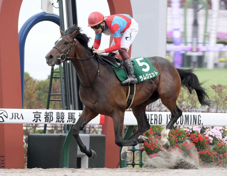 　豪快な差し切りＶを決めたラムジェット（撮影・石井剣太郎）