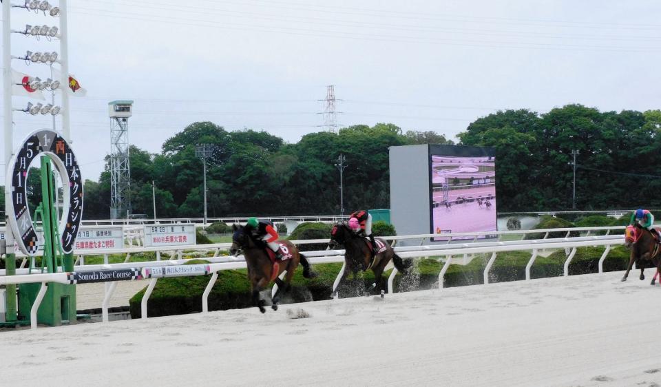 　無傷の６連勝で西日本クラシックを制覇したシンメデージー（左）＝撮影・中山伸治