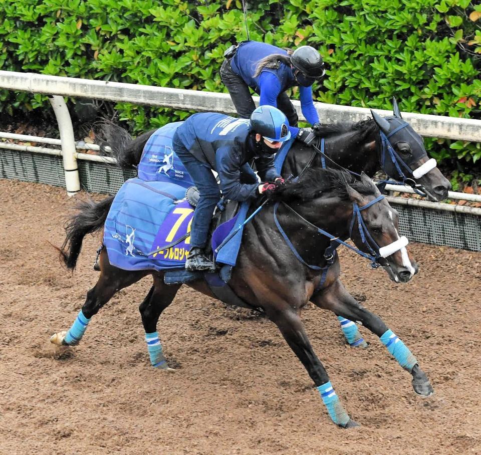 　栗東坂路で追い切るノーブルロジャー＝栗東トレセン（撮影・今井雅貴）