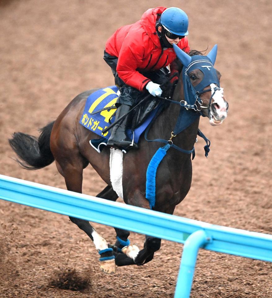 　美浦Ｗ単走で追い切ったボンドガール＝美浦トレセン（撮影・園田高夫） 