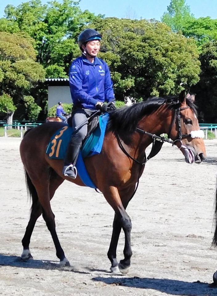 　初めて馬場入りしたアロンズロッド