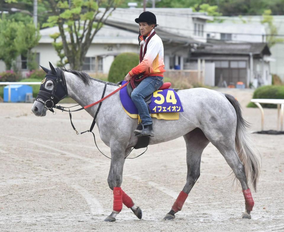 　Ｇ１初制覇を狙うイフェイオン