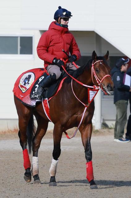 ケンタッキーダービー】フォーエバーヤング 惜しい！日本馬歴代