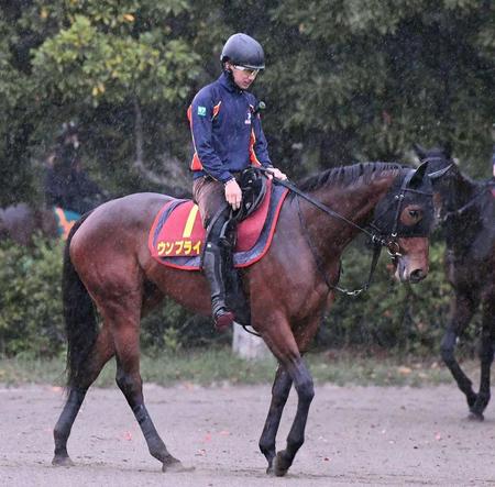 　着々と名馬の血が受け継がれているウンブライル