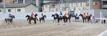 　不成立となった川崎競馬の４Ｒ