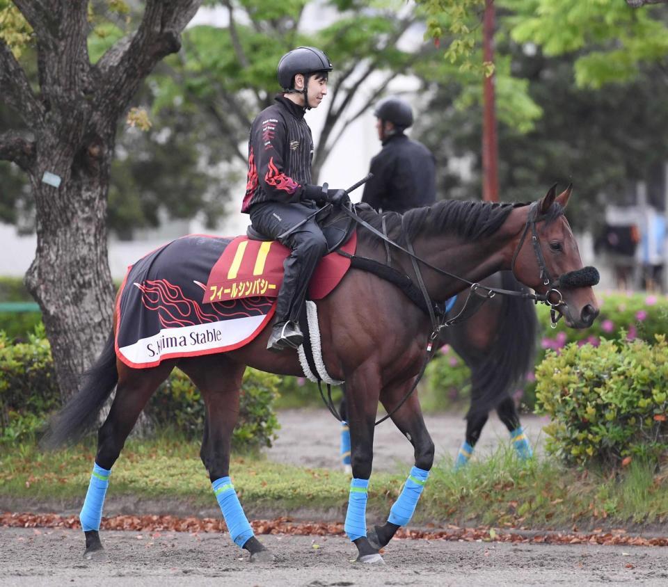 　Ｇ１初挑戦初Ｖを目指すフィールシンパシー