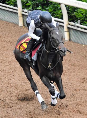 【ヴィクトリアＭ】マスクトディーヴァ５・１２バースデーＧ１初制覇へ完璧　馬なりノーステッキで４Ｆ５２秒９