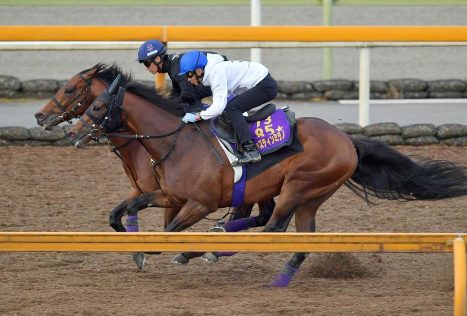 　順調に調整を進めるジャスティンミラノ（手前）＝撮影・石湯恒介