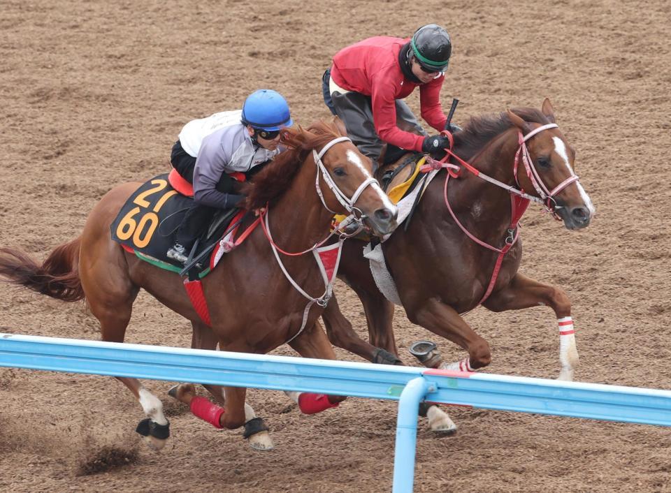 　ウッドチップコースでマンマミーアと併せて追われるウインマーベル（右）