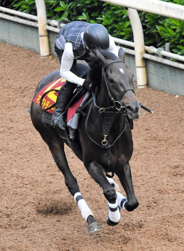 　大舞台へ向けてきっちり仕上がったマスクトディーヴァ（撮影・今井雅貴）