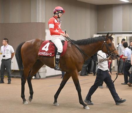 　２着に敗れたレッドモンレーヴと横山和（撮影・棚橋慶太）