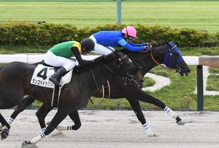 　東京２Ｒを制したウェットシーズン。騎乗した武豊はＪＲＡ通算４５００勝を達成（撮影・佐々木彰尚）