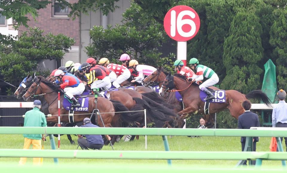 　スタートで出遅れたナミュール（右手前）