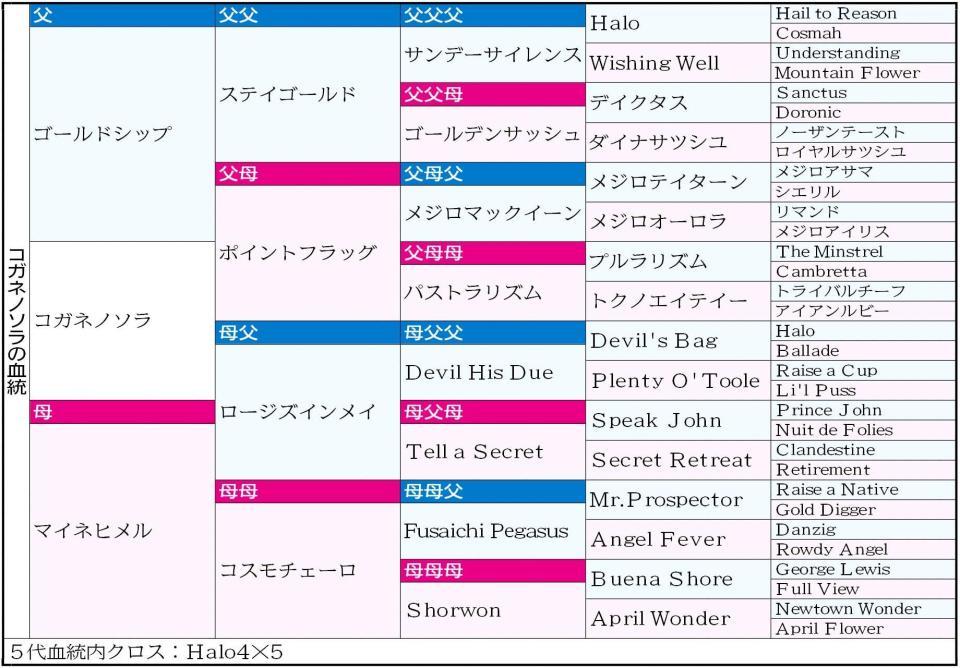 　コガネノソラ血統表