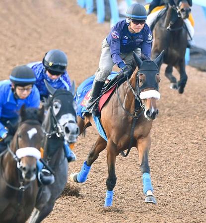 　２冠へ向けて万全の仕上がりを見せたステレンボッシュ（右）＝撮影・園田高夫