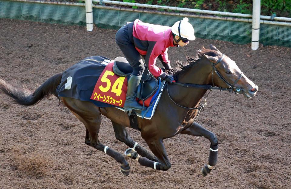 　桜花賞８着から巻き返しを狙うクイーンズウォーク