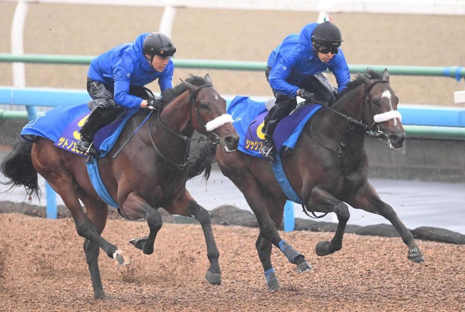 　僚馬サトノエピック（左）と併せ馬を決行したシックスペンス（撮影・園田高夫）