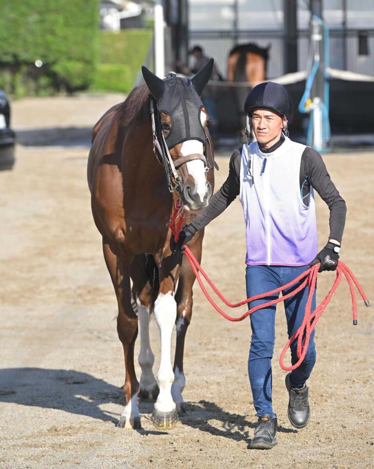 　Ｇ１初制覇を狙うスウィープフィート（撮影・石井剣太郎）