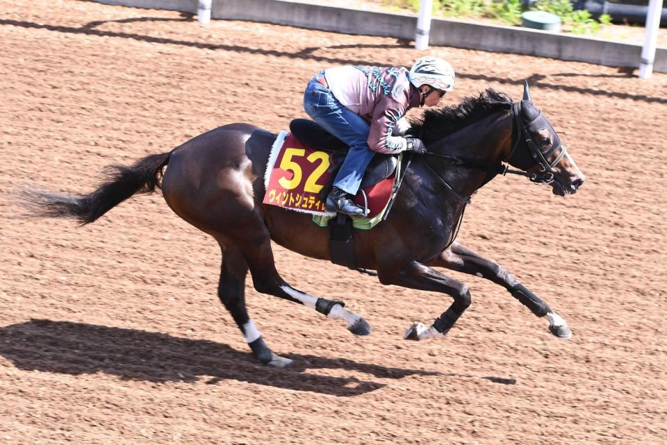 　母同様にオークスでの好走が期待されるヴィントシュティレ