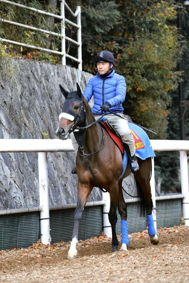 　ステレンボッシュ