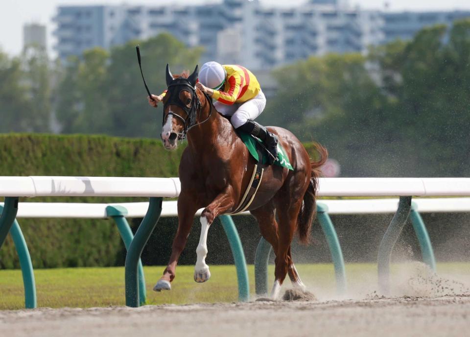 　先手を主張してそのまま押し切るミトノオー（撮影・石湯恒介）