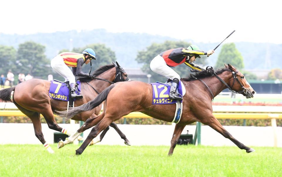 　オークスを制したチェルヴィニア。２着のステレンボッシュ（左）＝撮影・園田高夫