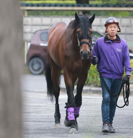 【日本ダービー】ジャスティンミラノは７枠１５番　データ不利も大江助手「どんな競馬でもできる子」