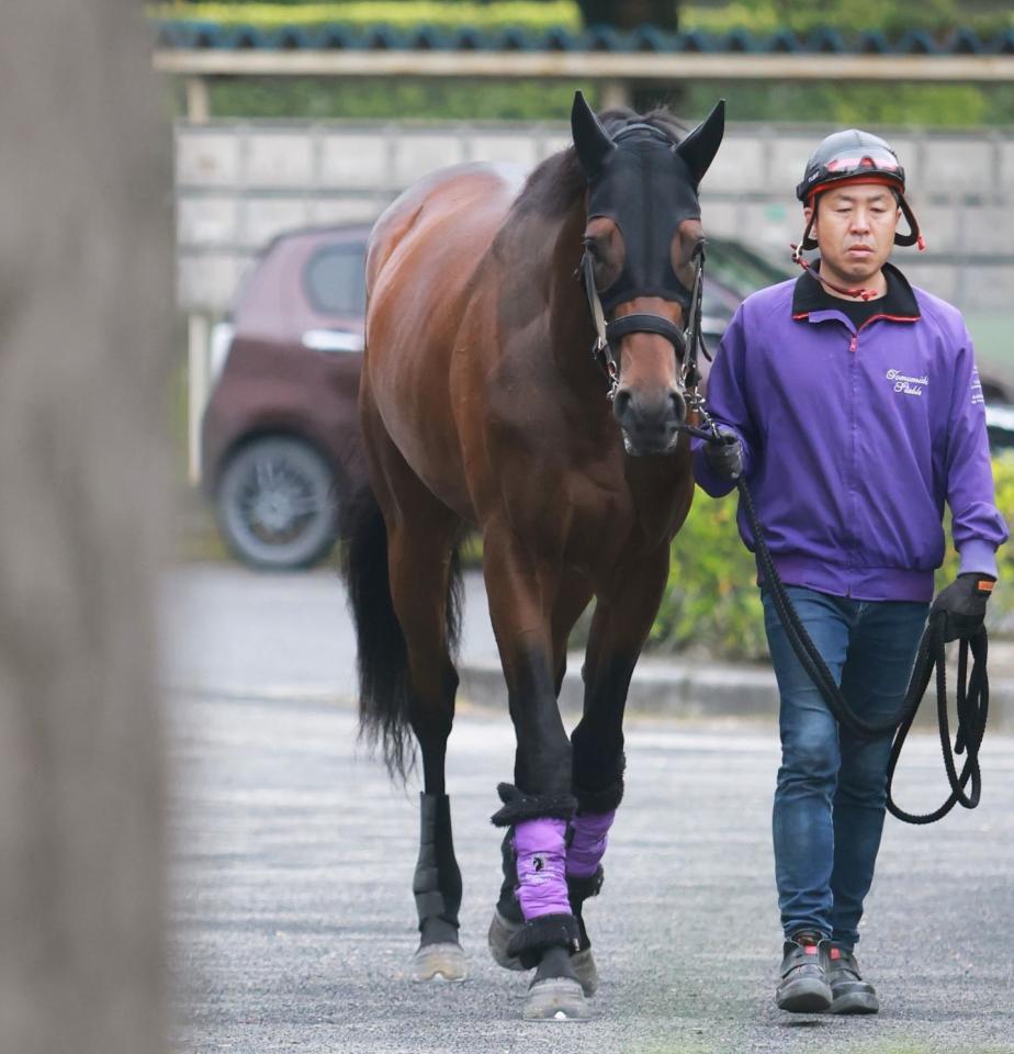 　運動するジャスティンミラノ（撮影・石湯恒介）