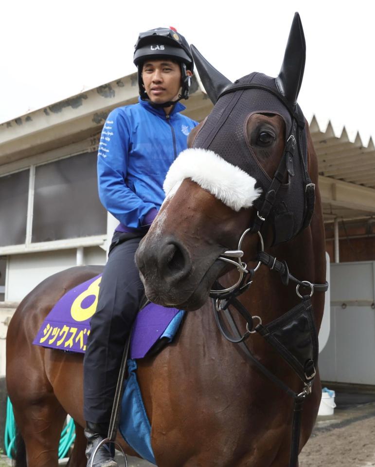 　厩舎で運動するシックスペンス