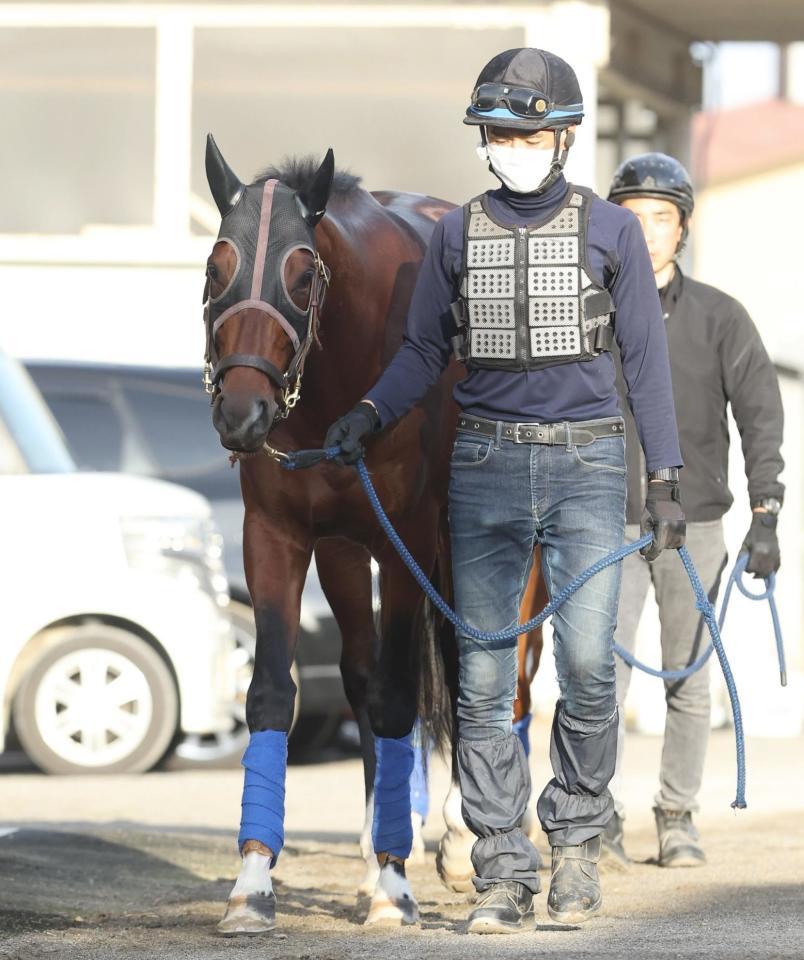 　厩舎で運動するダノンエアズロック