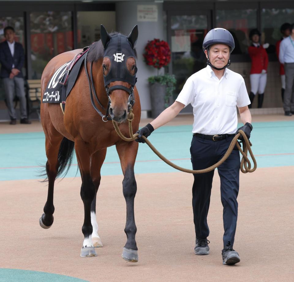 　パドックで東京９Ｒに出走するニフェーデービルをひく中竹師（撮影・西岡正）