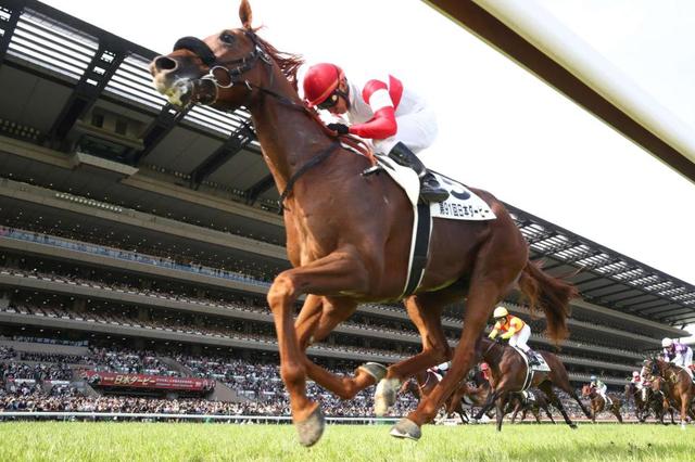 ダノンデサイル アイドルホース　JRA抽選会A賞 非売品　横山典弘　東京優駿 ダノンデサイル アイドルホース JRA抽選会A賞 非売品 横山典弘