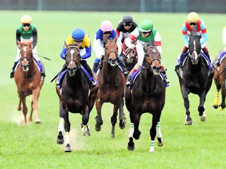 　１９年皐月賞覇者で新種牡馬のサートゥルナーリア（右から２頭目）の産駒にも注目が集まる＝１９年４月１４日