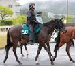 【新馬戦】ダノンフェアレディ　いざ世代一番星へ　牝馬クラシック見据えるキズナ産駒