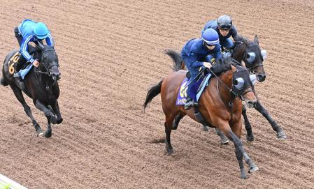 　３頭併せで最先着するレッドモンレーヴ（中央）＝撮影・園田高夫