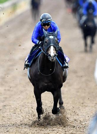 　栗東坂路で鋭い切れを見せたソウルラッシュ（撮影・石井剣太郎）