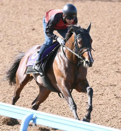 【安田記念】ダノンスコーピオン異例の美浦滞在「馬にとってベストは何か？」騎手経験も経た福永師が導き出した答え