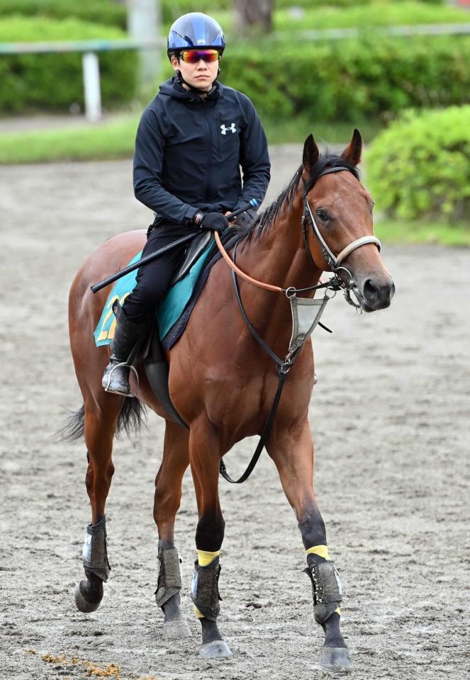 　注目の素質馬スターウェーブ