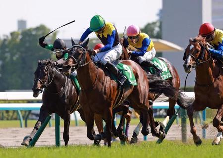 末脚を伸ばすヨーホーレイク（中央）＝京都競馬場（撮影・石湯恒介）