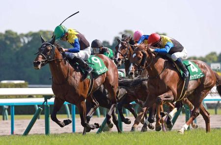 　岩田望のステッキに応え、末脚を伸ばすヨーホーレイク（左）＝撮影・石湯恒介