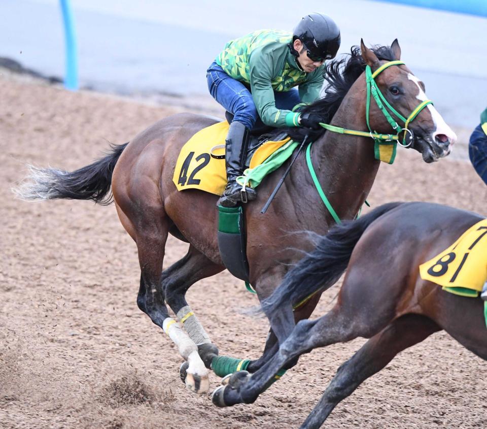 　重賞初制覇に挑むアサカラキング