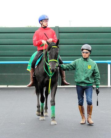 　４日函館競馬場で調整するモジャーリオ