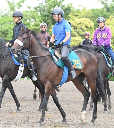 【新馬戦】良血アルレッキーノ初陣Ｖ狙う　半姉にチェルヴィニア