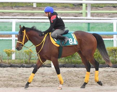 【新馬戦】グランカメリア　併せ馬で楽々１馬身先着　池添が高評価「水準以上のいい馬」