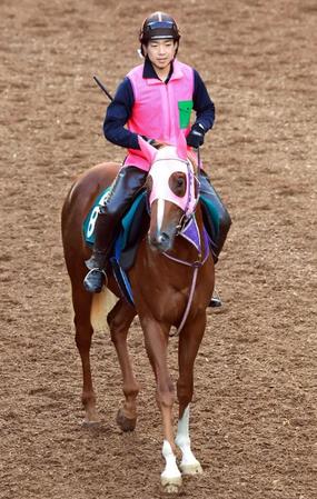 【新馬戦】ゼンダンハヤブサ　動きは抜群！はや好タイムに中尾助手期待「２歳の今の時期にこの時計を出せるのはすごい」