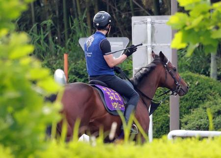 　運動するドウデュース（撮影・石湯恒介）