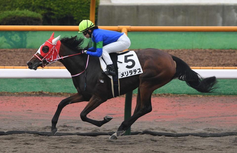 　函館１２Ｒを制したメリタテス（撮影・佐々木彰尚）