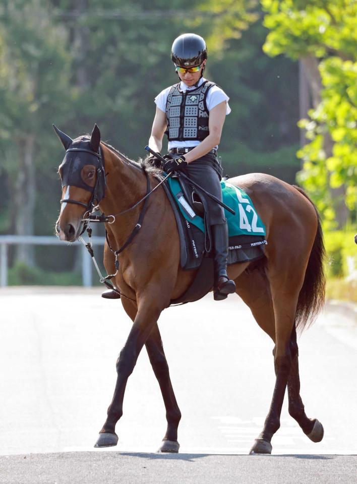 　福永厩舎が送り出す期待馬ダノンブランニュー（撮影・石湯恒介）