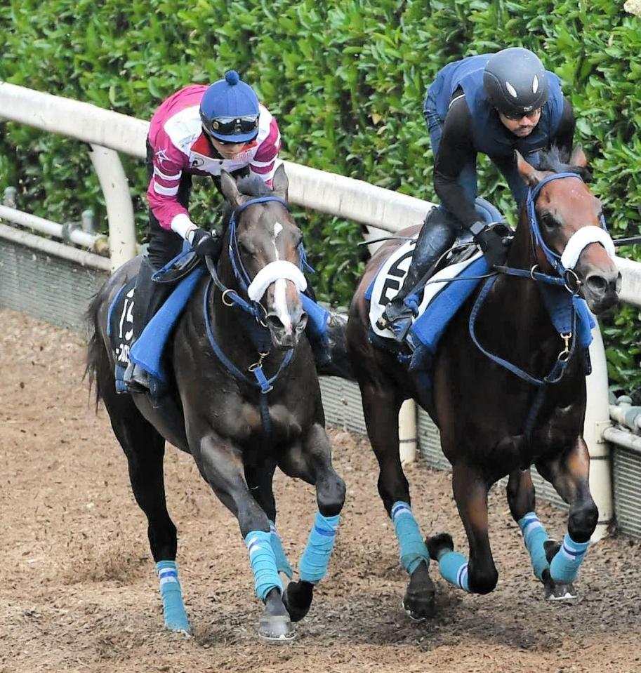 　栗東坂路で追い切るノーブルロジャー（左）＝撮影・今井雅貴