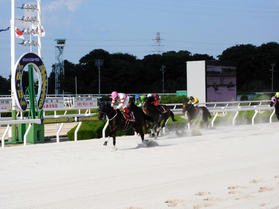 　重賞初挑戦初勝利を成し遂げたオールスマート（左）＝撮影・中山伸治